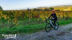 Autotour, balades commentées, visites ... - Vignobles en scène