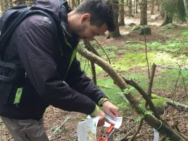 Orienteering track