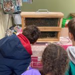 © A la découverte du monde des abeilles et de leur nectar_Valeille - OT Forez Est
