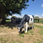 Top pop corn - La visite gonflée_Saint-Cyr-les-Vignes