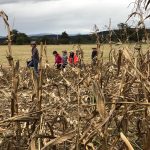 Top pop corn - La visite gonflée_Saint-Cyr-les-Vignes