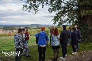 Vignobles en scène - les journées vignobles et découvertes en Loire Forez