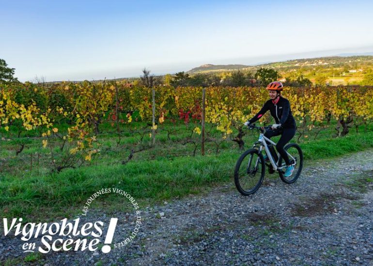 © Autotour, balades commentées, visites ... - Vignobles en scène_Boën-sur-Lignon - Office de tourisme Loire Forez