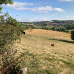 © N°2 Par monts, vaux et forêts_Aveizieux - OT FOREZ-EST