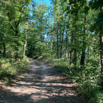 © Sentier des pas vaillants_Saint-Médard-en-Forez - OT FOREZ-EST
