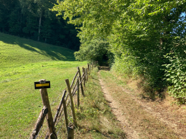 Sentier des pas vaillants