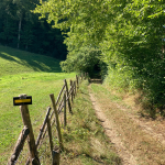 © Sentier des pas vaillants_Saint-Médard-en-Forez - OT FOREZ-EST