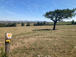 Sentier des pas vaillants