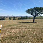 © Sentier des pas vaillants_Saint-Médard-en-Forez - OT FOREZ-EST