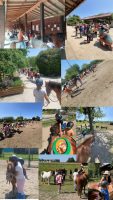 Stages équitation enfants