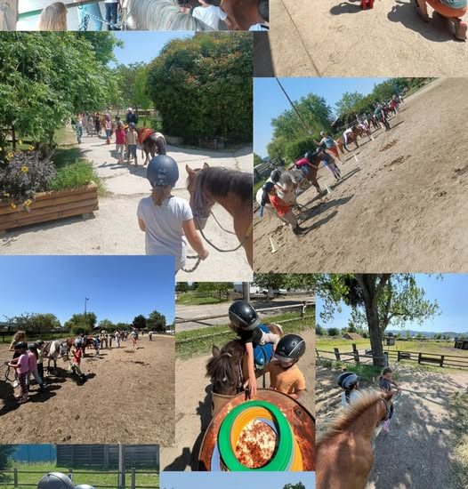 © Stages équitation enfants_Montbrison - SLEM