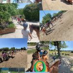 © Stages équitation enfants_Montbrison - SLEM
