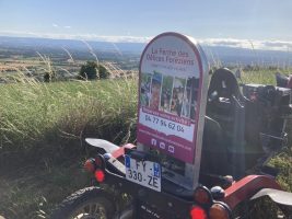 Balade gourmande à la découverte des champs en swincar