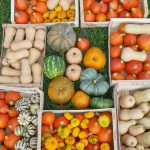 © Visite et dégustation à la Ferme de l'Oasis_Saint-Marcel-de-Félines - Ferme de l'oasis