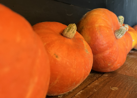 Atelier Crumble de la mort à la courge et au chocolat