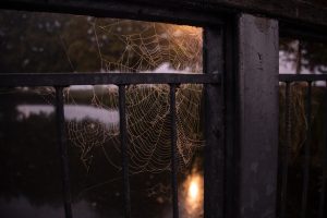 Les Mardis en famille -  " Visite spécial Halloween"