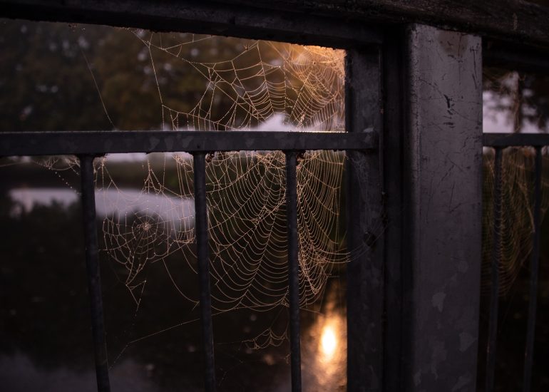 © Les Mardis en famille -  " Visite spécial Halloween"_Apinac - Pixabay
