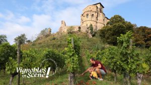 Journée d'animations - Vignobles en scène