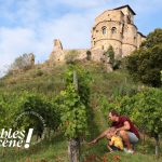© Journée d'animations - Vignobles en scène_Saint-Romain-le-Puy - Hubert Genouilhac