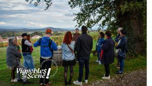 Vignobles en scène - les journées vignobles et découvertes en Loire Forez