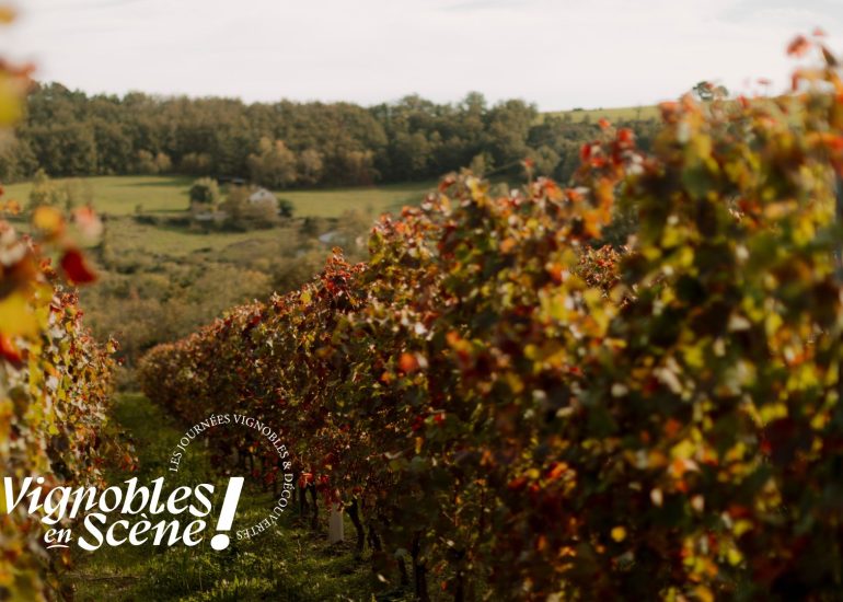 © Autotour le long de la route des vins du Forez - Vignobles en scène_Boën-sur-Lignon - Bobine magazine