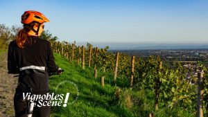 Rand'oenologie - Vignobles en scène