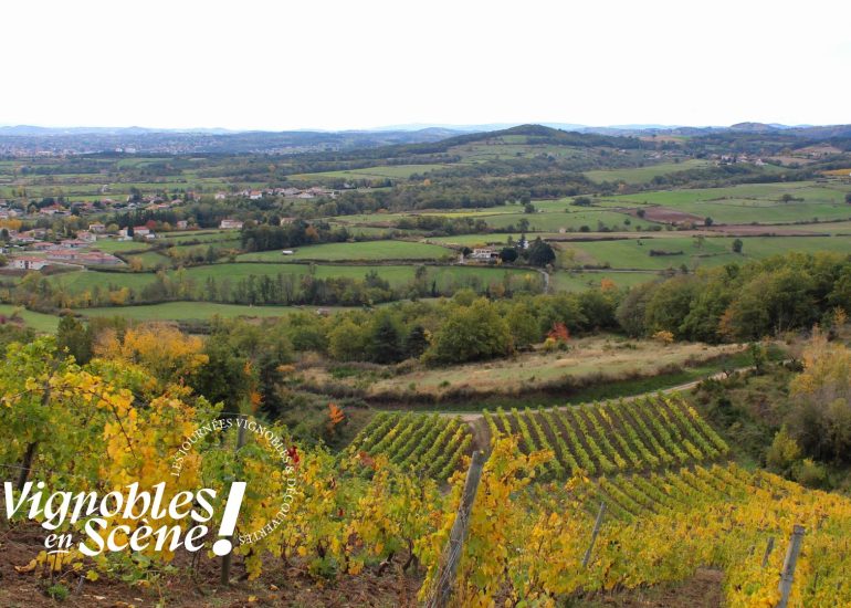 Balade commentée au cœur des vignes - Vignobles en scène_Champdieu