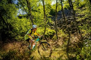 N° 41 - La maison du Trésor - Espace VTT-FFC Massif des Bois Noirs