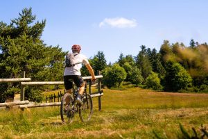 N°61 - Le novice - Espace VTT-FFC Massif des Bois Noirs