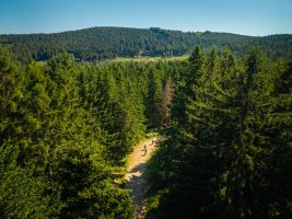 N°62 - Les deux boules - Espace VTT-FFC Massif des Bois Noirs