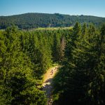 © N°62 - Les deux boules - Espace VTT-FFC Massif des Bois Noirs_La Chamba - White Lizard Studio