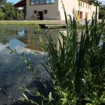 © Maison des étangs du Forez / Réserve de Biterne - Arthun - Maison des étangs du Forez / Réserve de Biterne
