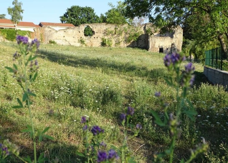 © Les secrets du Théâtre des Sarrasins - Mairie de Montbrison