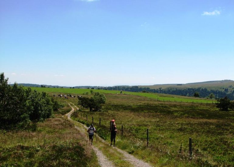 © Réserve Naturelle Régionale des Jasseries de Colleigne - Anne Massip - OT Loire Forez