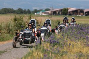 Balade gourmande à la découverte des champs en swincar