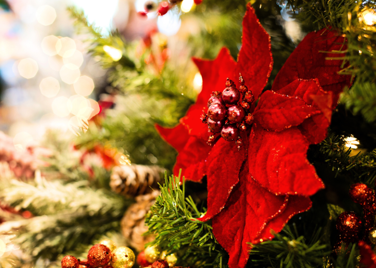 © Atelier art floral enfant/ado - Le Lutin fleuri s'invite à Noël _Panissières - Canva