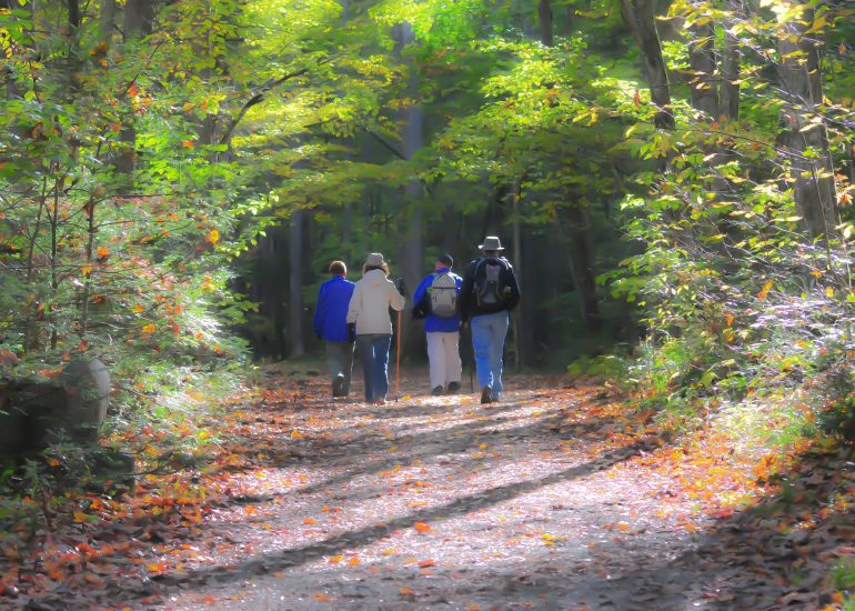 © Marche d'automne - office de tourisme Loire Forez