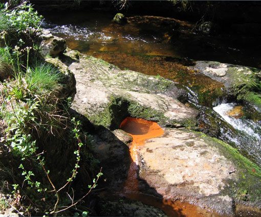 Source ferrugineuse de la Fontfort