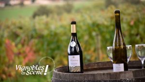 Ouverture des caveaux et rencontre avec les vignerons