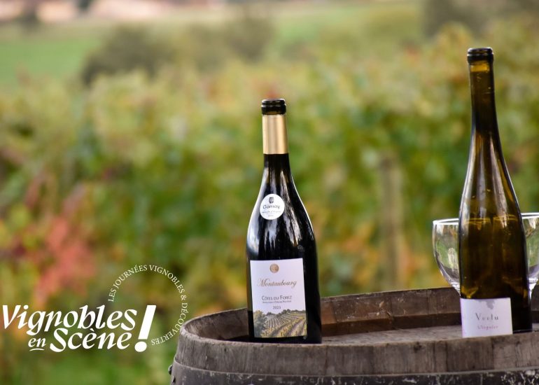 © Ouverture des caveaux et rencontre avec les vignerons_Boën-sur-Lignon - Château de Goutelas