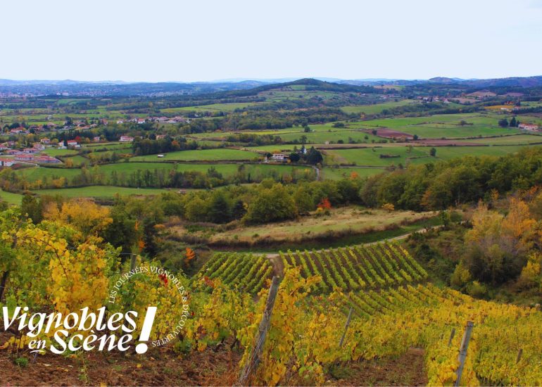 Balade commentée au cœur des vignes_Champdieu