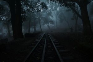 Omnibus Horror Show - Train d'Halloween