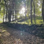 © Sentier La Truche_Violay - OT FOREZ-EST