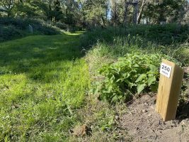 Atelier trail B - Vitesse