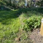 © Atelier trail B - Vitesse_Montrond-les-Bains - OT FOREZ-EST