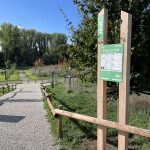 © Parcours trail 13 - Trail des bords de Loire_Montrond-les-Bains - OT FOREZ-EST