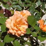 © Domaine Champêtre de la Loge - Juliette Thiollier