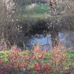 © Domaine Champêtre de la Loge - Juliette Thiollier