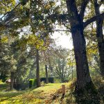 © Camping du Soleillant - Loire tourisme