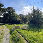 © Camping du Soleillant - Loire tourisme